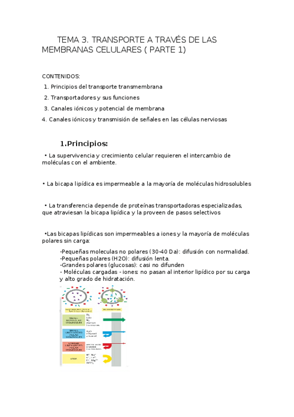 Miniatura del documento TEMA 3.docx
