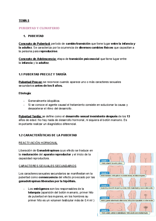Miniatura del documento TEMA-5.-PUBERTAD-Y-CLIMATERIO.pdf