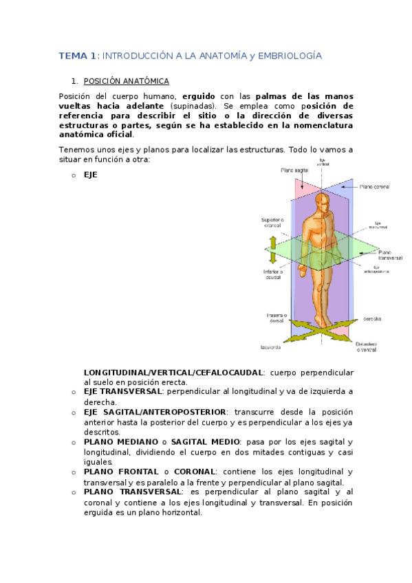 Miniatura del documento INTRO- GAMETOGÉNESIS y PRIMERA SEMANA.docx