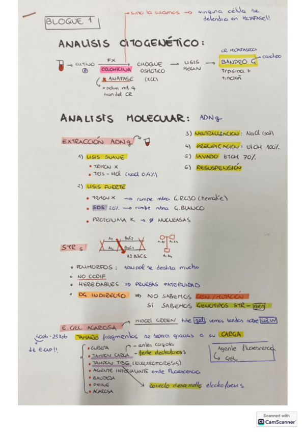 Miniatura del documento APUNTES.pdf
