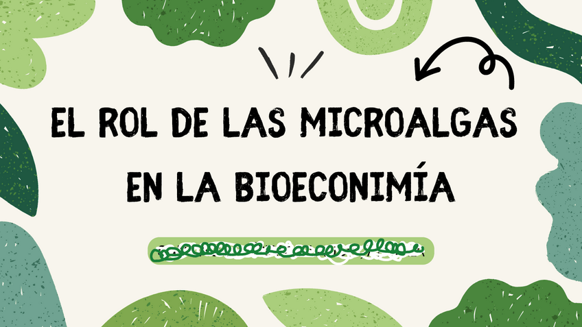 Miniatura del documento Microalgas-bioeconomia.pdf