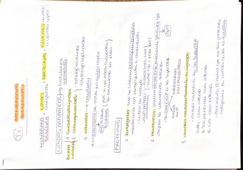 Miniatura del documento Resumen-bq-II-T1-T7.pdf