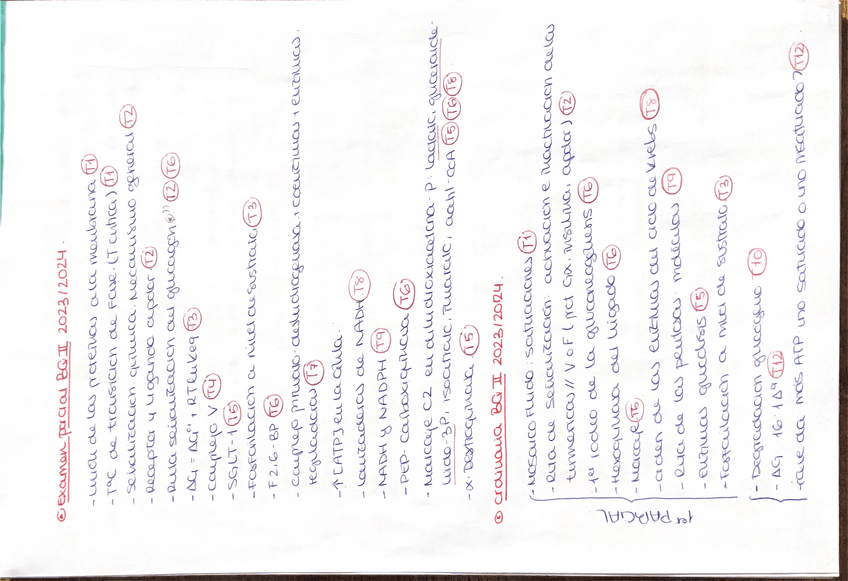 Miniatura del documento Preguntas-bq-II-parcial-y-ordinaria-2324.pdf