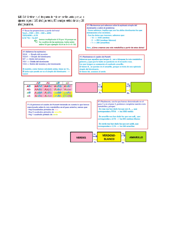 Miniatura del documento Problema-5.28-explicado.pdf