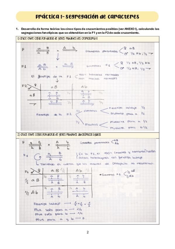 Miniatura del documento Memoria-Genetica-NMM.pdf