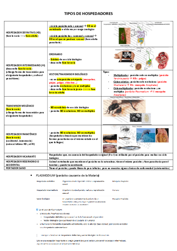 Miniatura del documento TIPOS-HOSPEDADORES.pdf