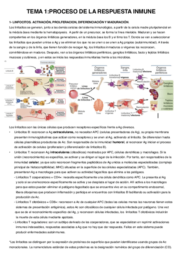 Miniatura del documento Resumenes-InmunologiaTema-1-y-2.pdf