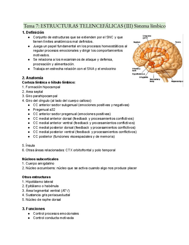 Miniatura del documento Tema-7-ESTRUCTURAS-TELENCEFALICAS-III-Sistema-limbico.pdf