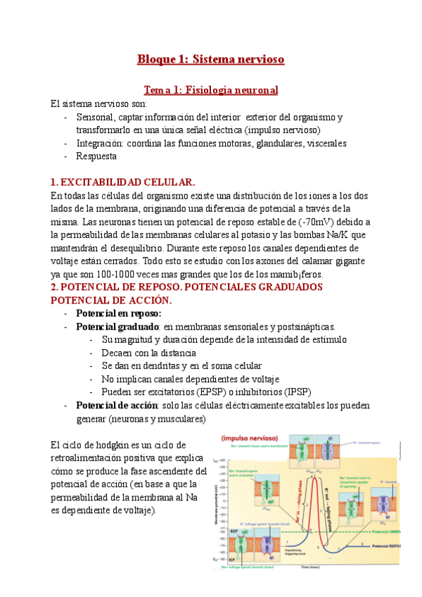 Miniatura del documento TEMA-1.pdf