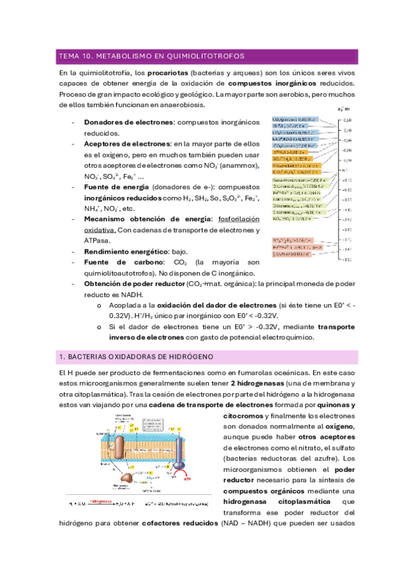 Miniatura del documento TEMA-10.pdf