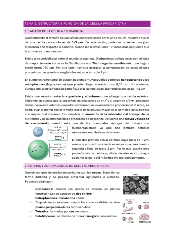 Miniatura del documento TEMA-5.pdf