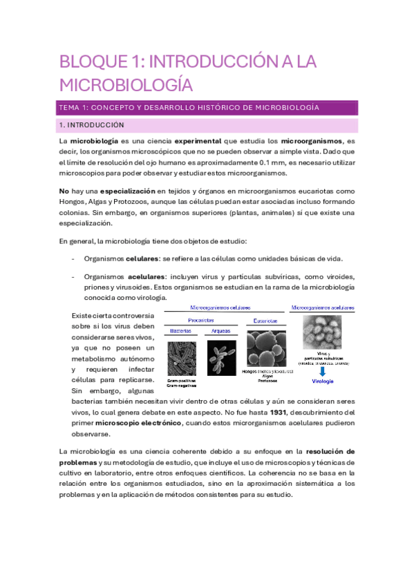 Miniatura del documento TEMA-1.pdf