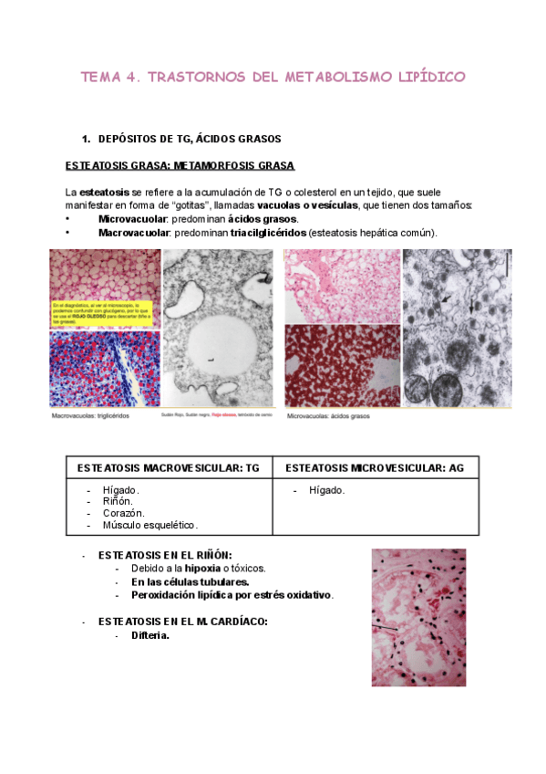 Miniatura del documento Tema-4.pdf