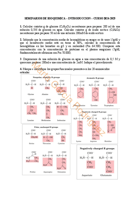 Miniatura del documento Seminario-De-Introduccion-1.pdf