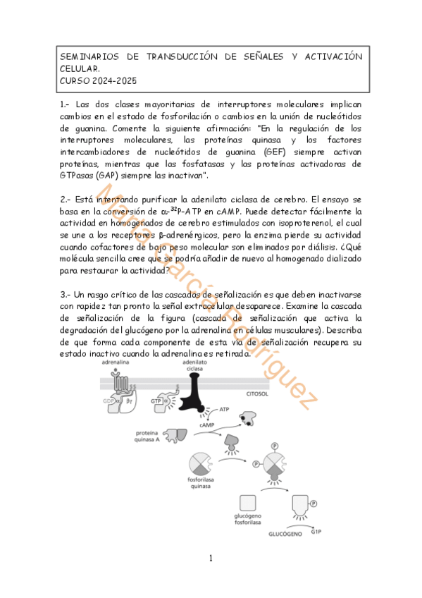 Miniatura del documento Seminarios.Bloque.4.2024-25.pdf