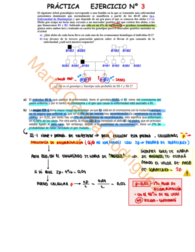 Miniatura del documento Practica-13-imprimir.pdf