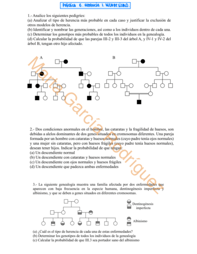 Miniatura del documento Practica-6-Herencia-I.-Mendelismo.pdf