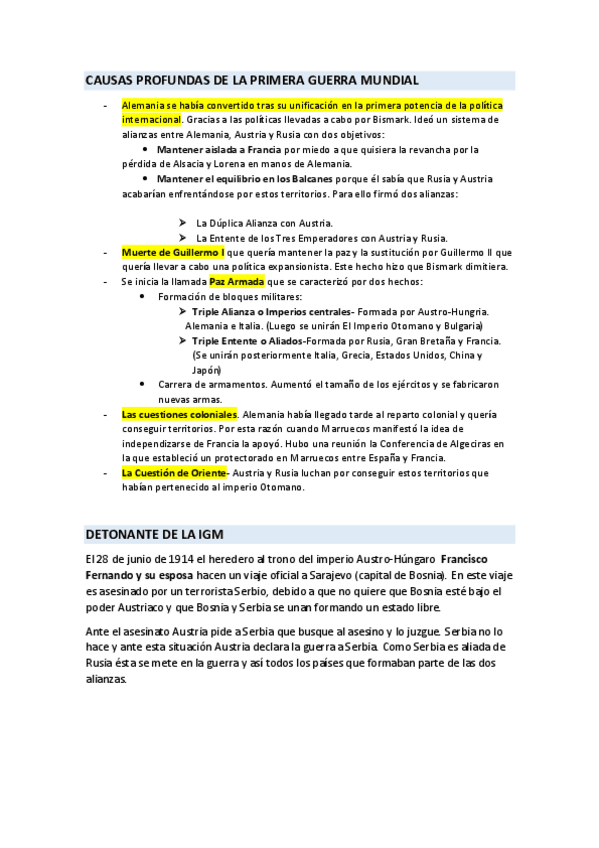 Miniatura del documento CAUSAS-PROFUNDAS-DE-LA-PRIMERA-GUERRA-MUNDIAL.pdf