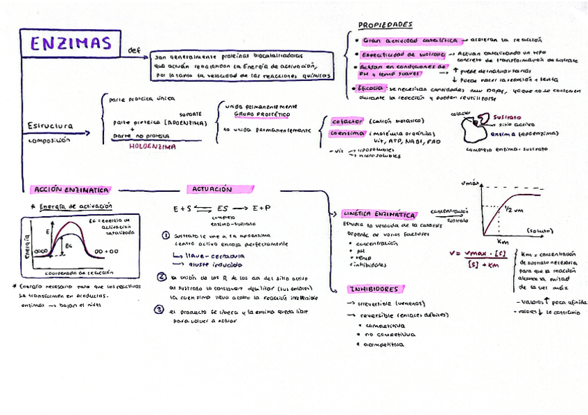 Miniatura del documento esquema-ENZIMAS.pdf