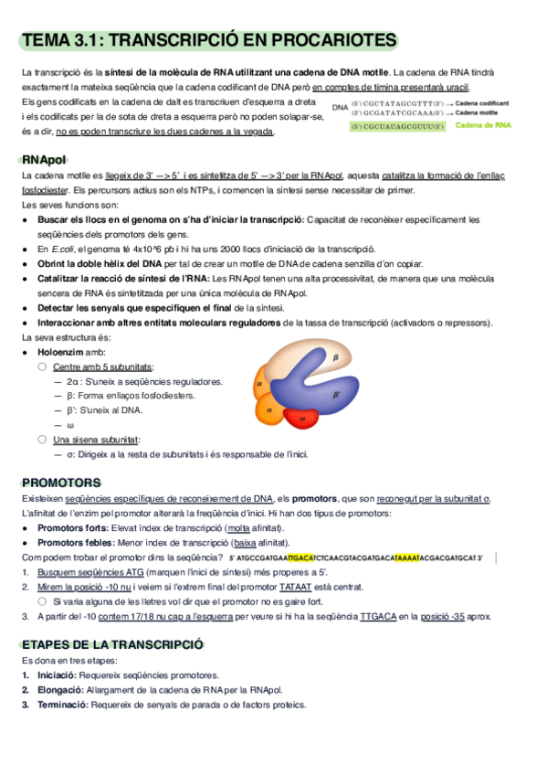 Miniatura del documento Apunts-final-biomol.pdf