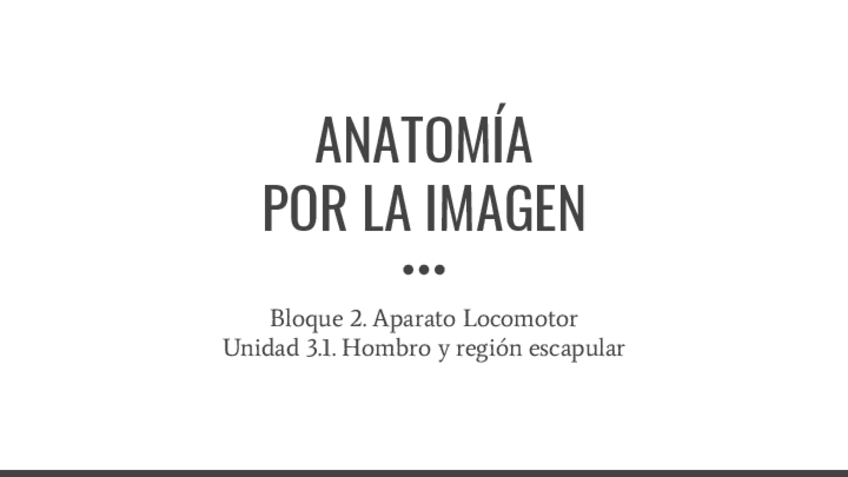 Miniatura del documento B3.1.-Hombro-y-region-escapular.pdf