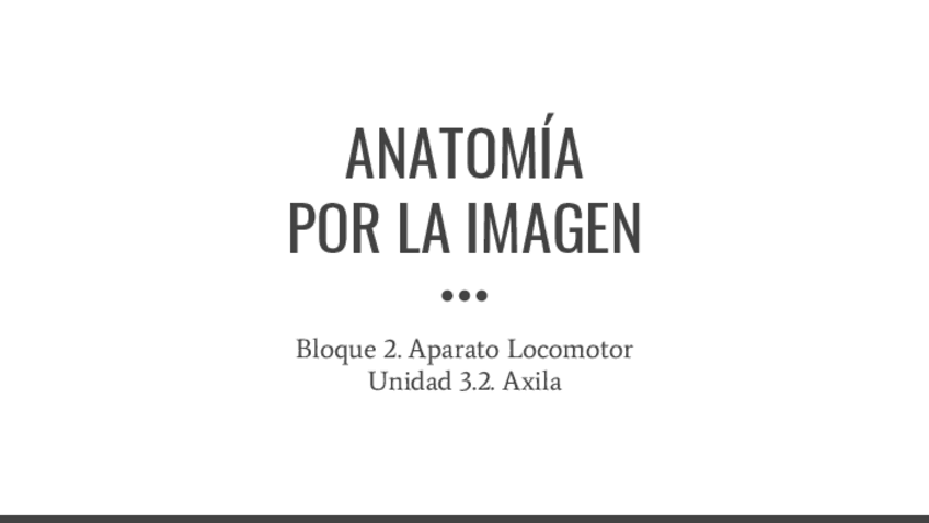 Miniatura del documento B3.2.-Axila.pdf