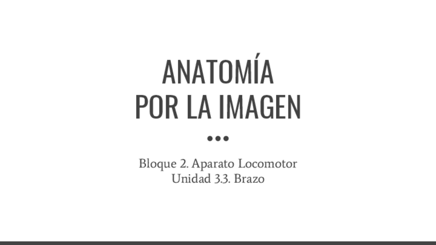 Miniatura del documento B3.3.-Brazo.pdf