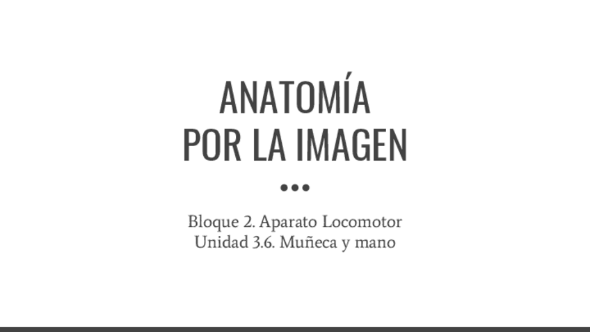 Miniatura del documento B3.6.-Muneca-y-mano.pdf