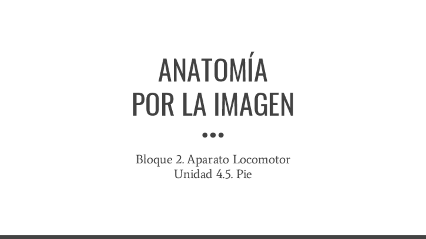 Miniatura del documento B4.5.-Pie.pdf
