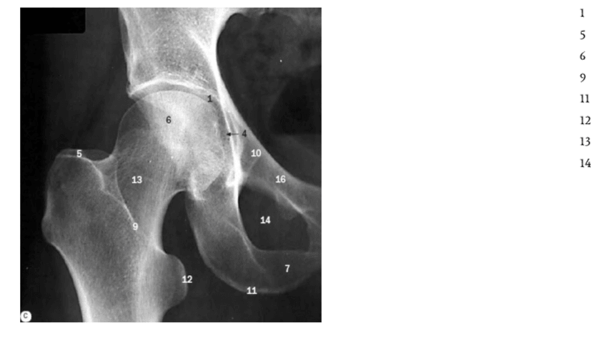 Miniatura del documento Imagenes-M.-Inf.-Sin-resolver.pdf