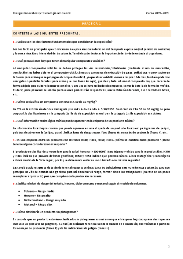 Miniatura del documento PRACTICAS-RIESGOS-LABORALES.pdf