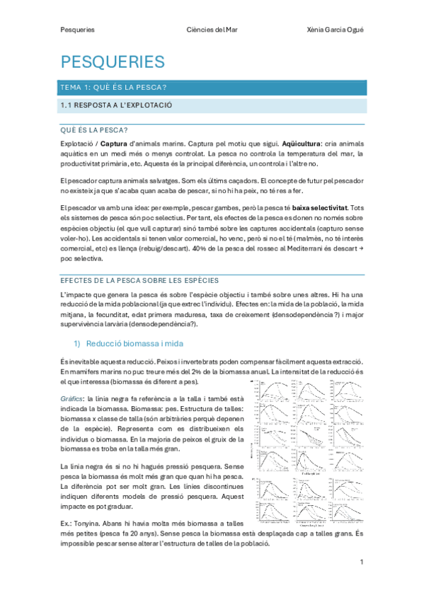 Miniatura del documento PESQUERIES.pdf