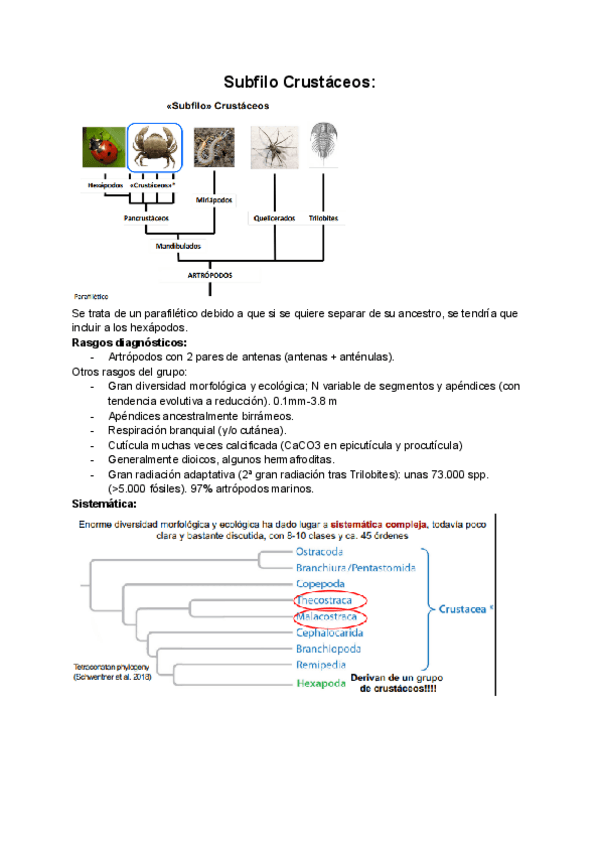 Miniatura del documento Tema-16-Crustaceos-.pdf