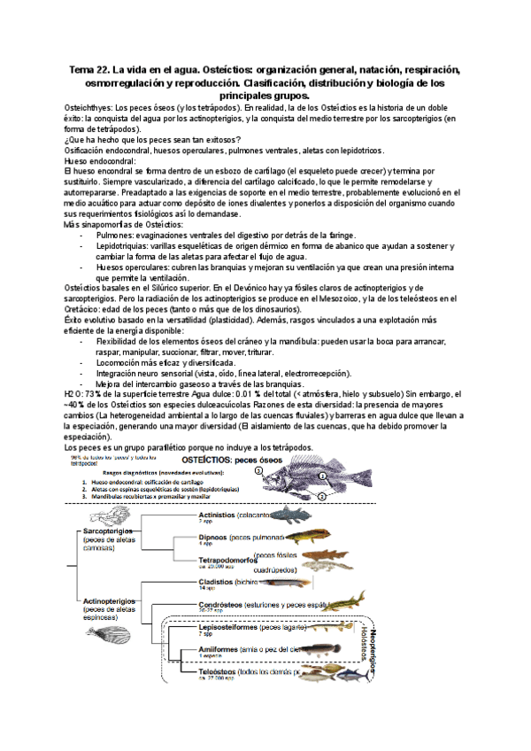 Miniatura del documento Tema-22.-La-vida-en-el-agua.-Osteictios-organizacion-general-natacion-respiracion-osmorregulacion-y-reproduccion.-Clasificacion-distribucion-y-biologia-de-los-principales-grupos..pdf
