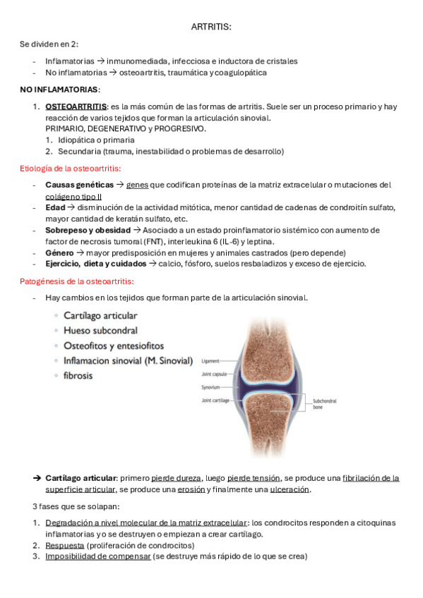 Miniatura del documento Apuntes-artritis-cirugia-II-2025.pdf