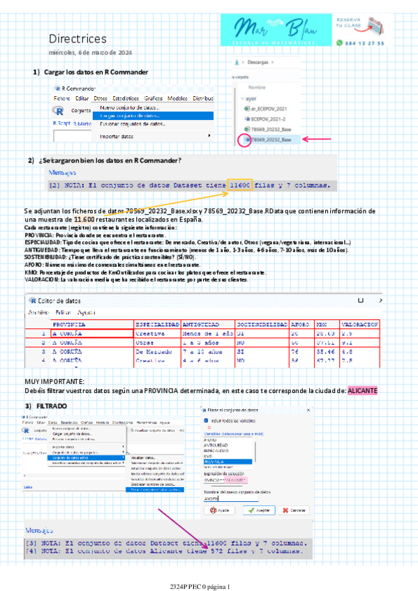 Miniatura del documento PEC-1.pdf