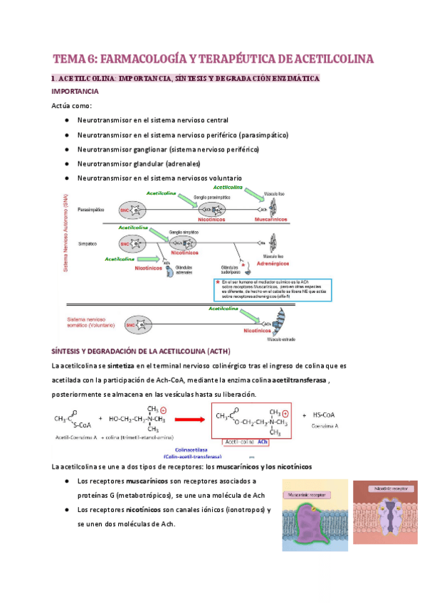 Miniatura del documento Tema-6-farma.pdf