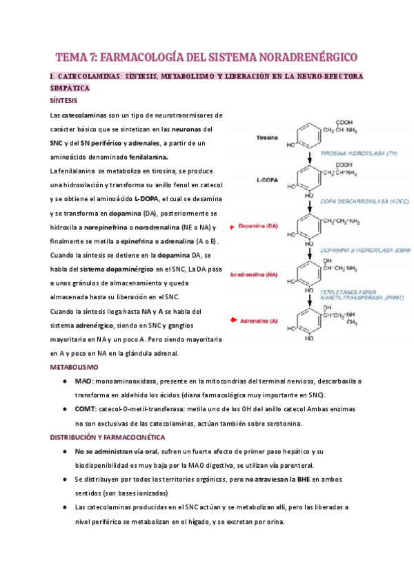 Miniatura del documento tema-7-farma.pdf