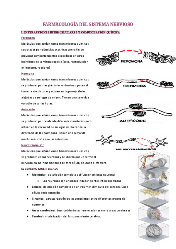 Miniatura del documento Tema-5-farma.pdf
