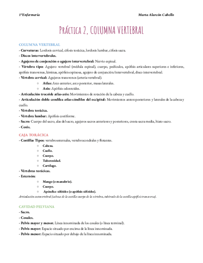 Miniatura del documento Practica-2.-Columna-vertebral.pdf