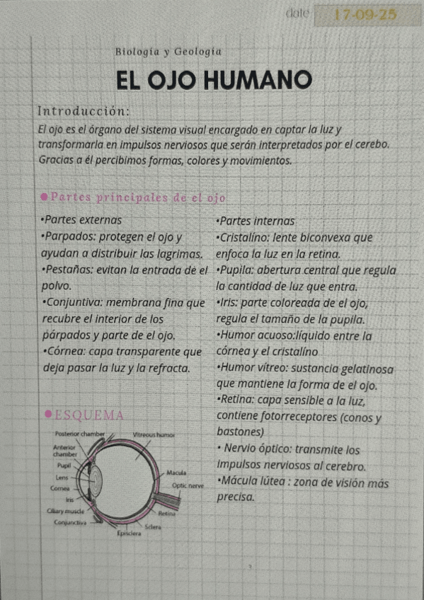 Miniatura del documento El-ojo-humano.pdf