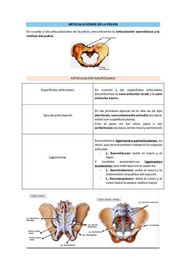 Miniatura del documento 6.5-art-miembro-inferior.pdf