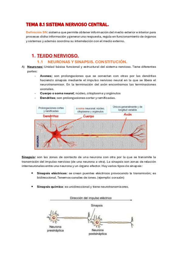 Miniatura del documento TEMA-8-SN-LIMPIO-entero..pdf
