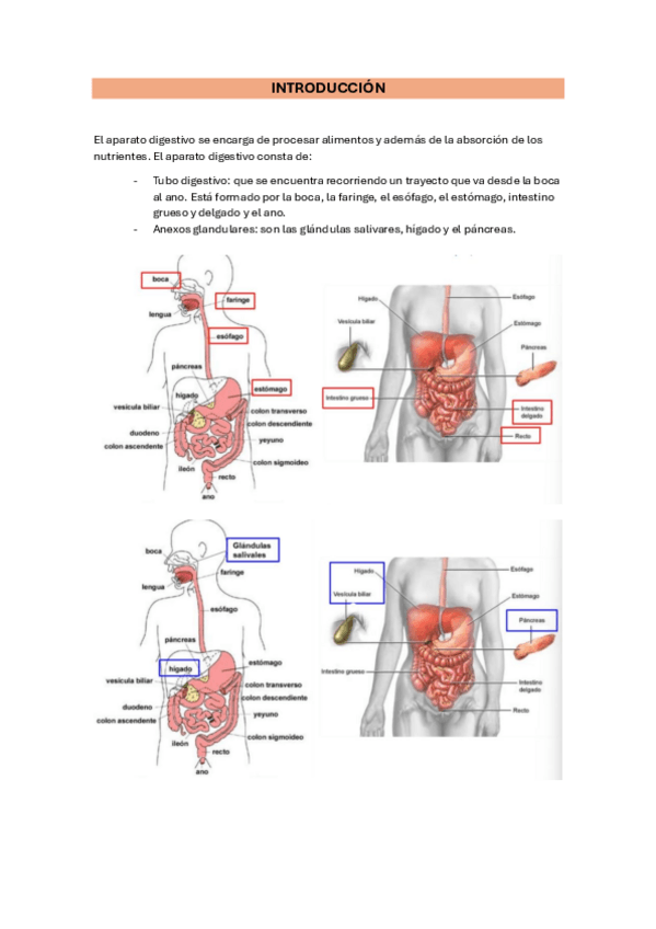 Miniatura del documento TEMA-9.1-BOCA.pdf
