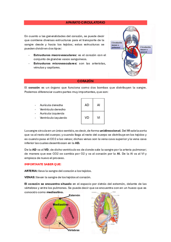 Miniatura del documento 10.-aparato-circulatorio.pdf