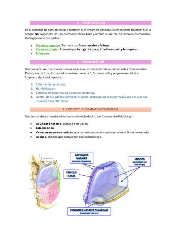 Miniatura del documento 11.-aparato-respiratorio.pdf