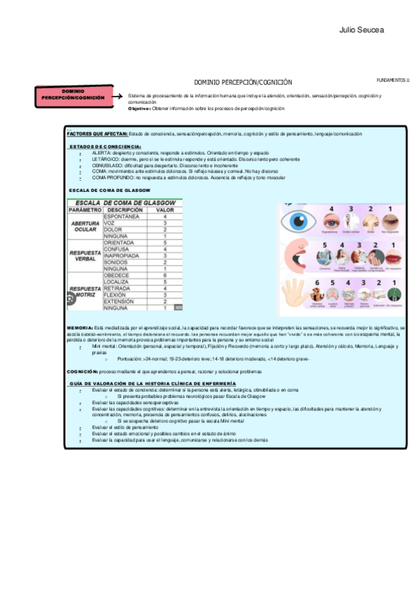 Miniatura del documento T5-DOMINIOPERCEPCIONCOGNICION.pdf