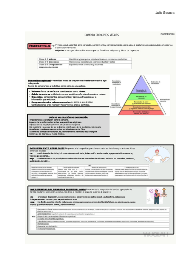 Miniatura del documento T10-DOMINIO-PRINC-VITALES.pdf