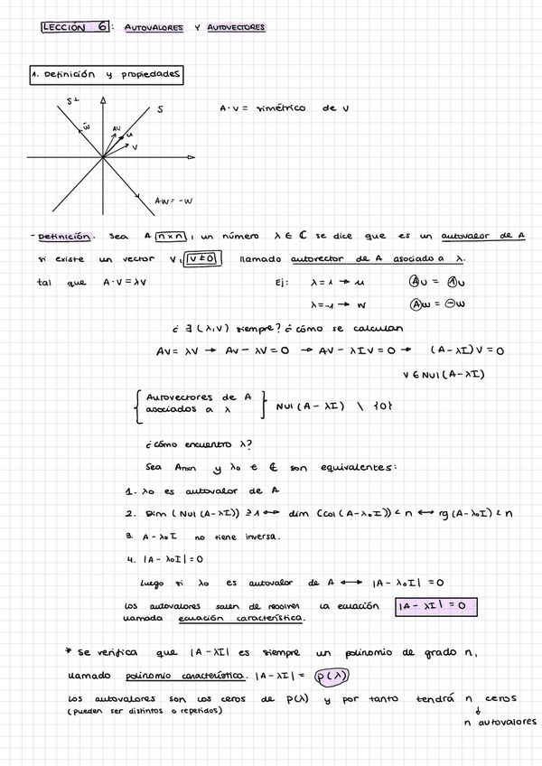 Miniatura del documento Lección 6. Autovalores y autovectores.pdf
