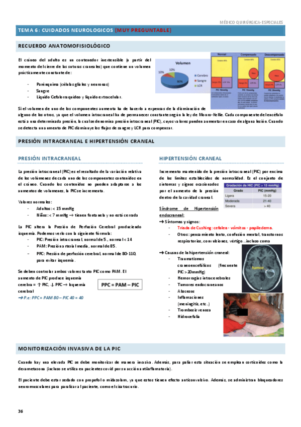 Miniatura del documento Criticos-Tema-6.pdf